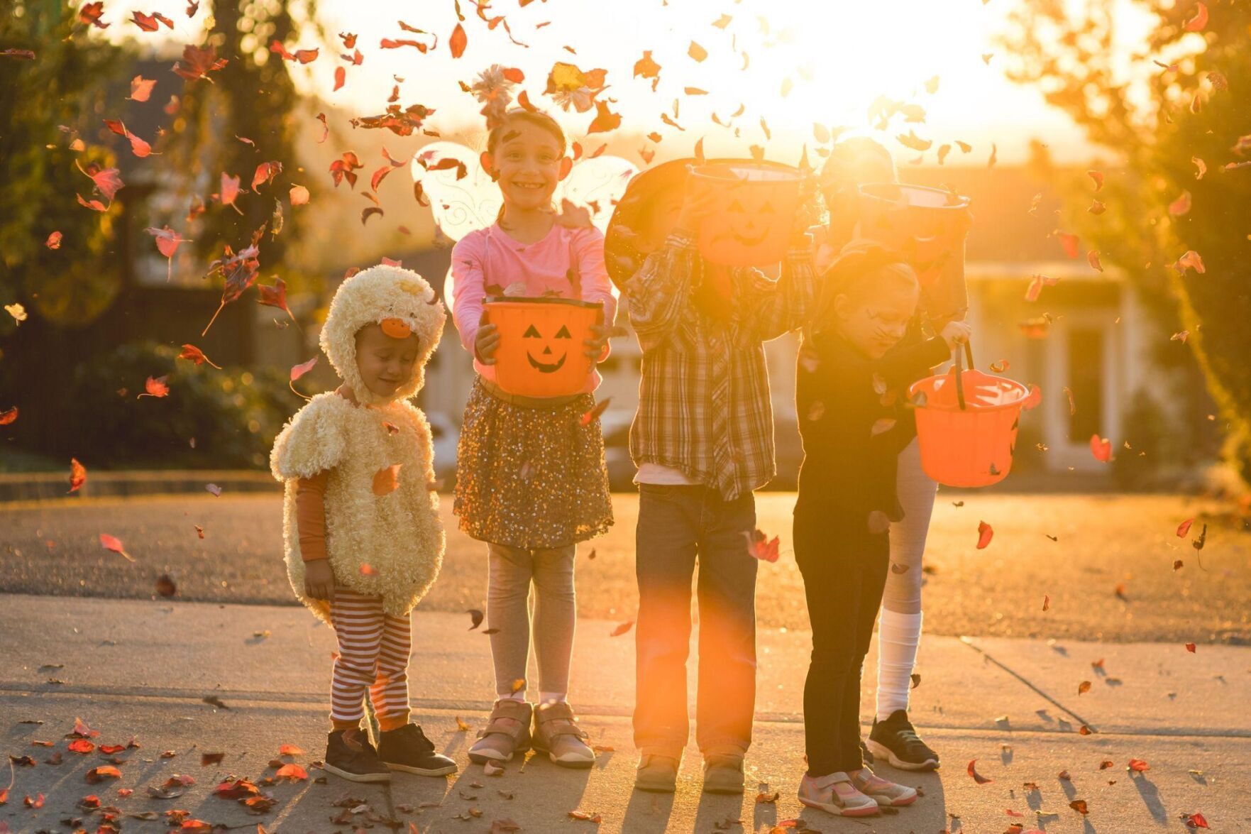 halloween 2